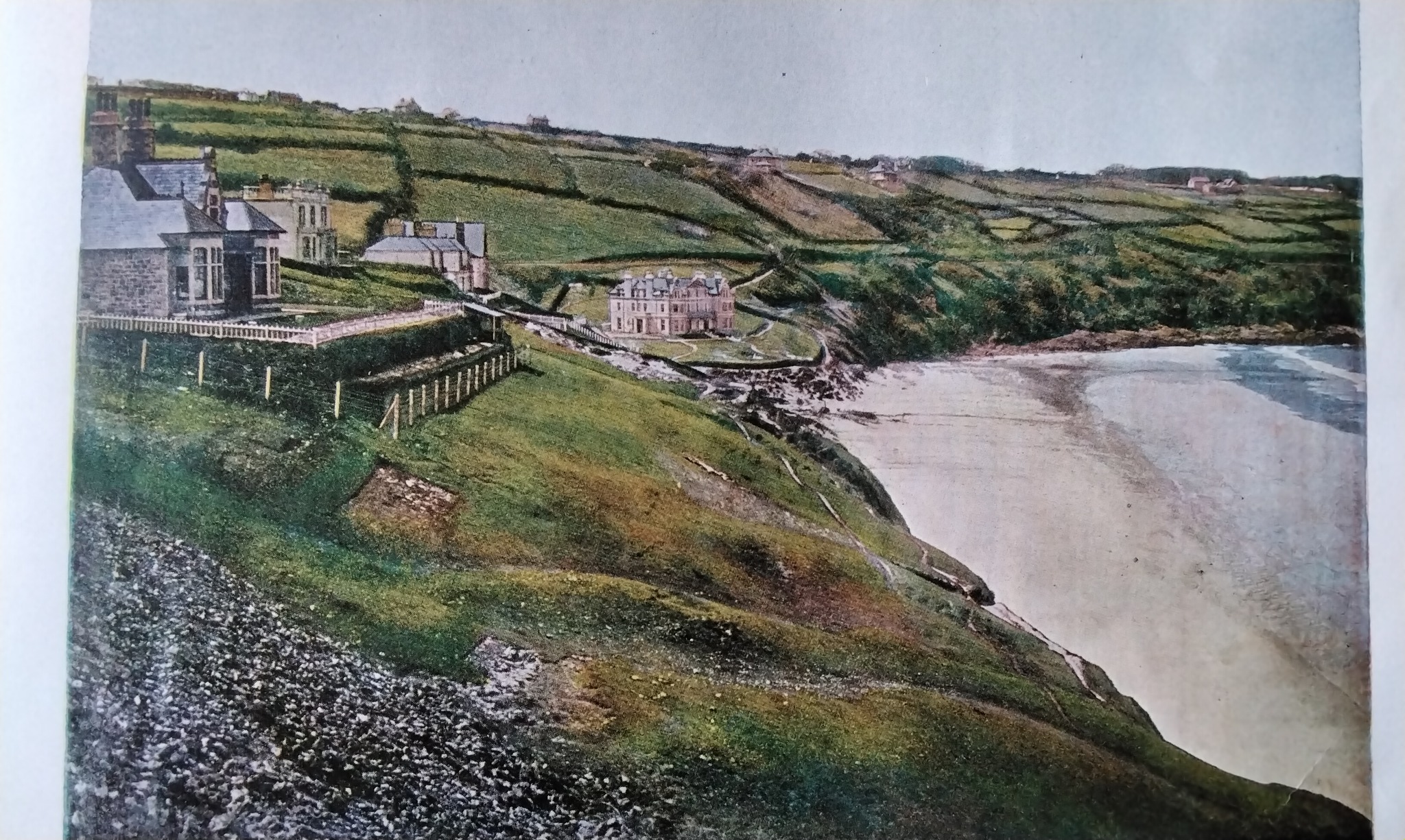 Carbis Bay Cornish Trevor